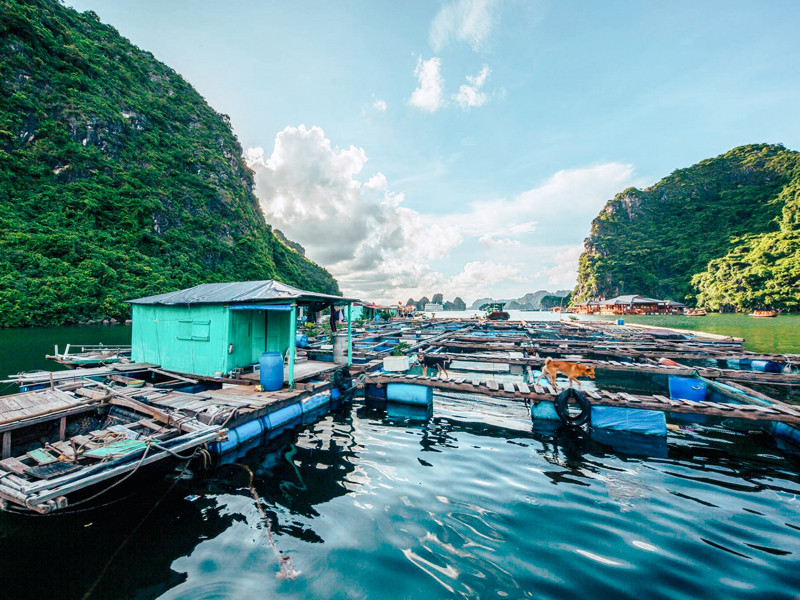 The Au Co 3 days cruise Halong bay Lan Ha Bay