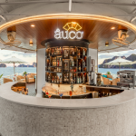 The luxury Au Co cruise 2 days on Halong Bay