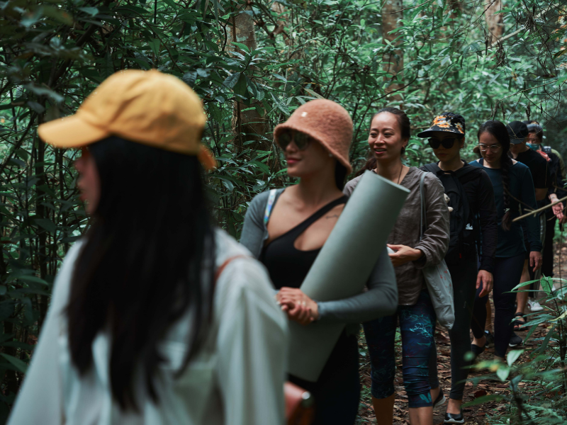 Bhaya Soul Wellness Cruise Halong Bay
