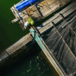 Cua Van Fishing village Halong Bay