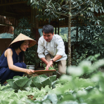 The Au Co 3 days cruise Halong bay Lan Ha Bay