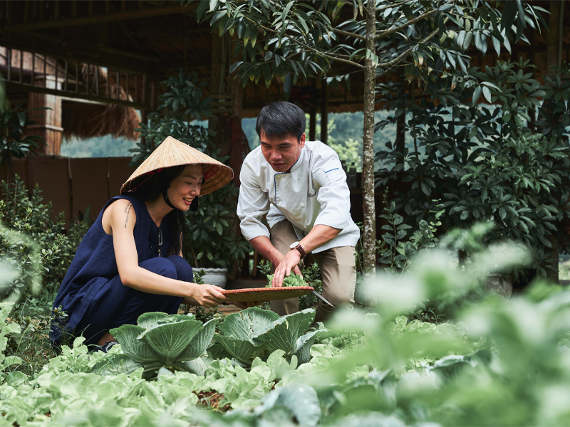 Trải nghiệm nông trại